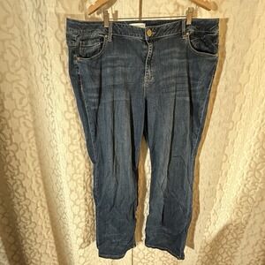 Lane Bryant Blue Jeans Womens Size 24 Denim Pockets Stretch Distressed Comfort